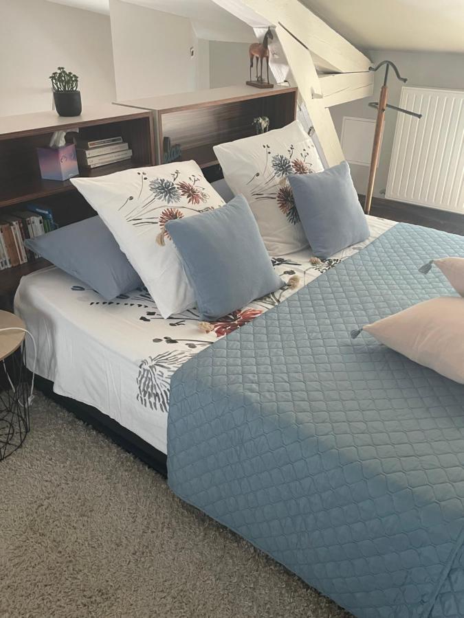 La Suite Alain Νανσύ Εξωτερικό φωτογραφία